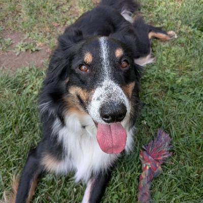 [?]